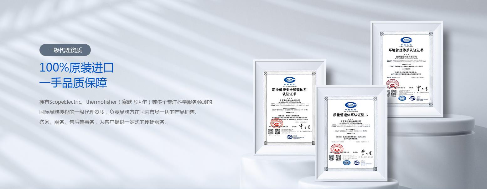 公司優(yōu)勢：技術(shù)領(lǐng)先與專業(yè)服務并重